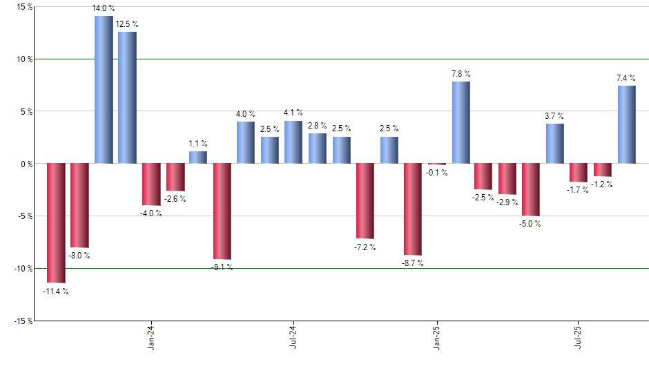 BUZZ monthly returns chart